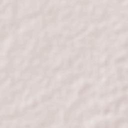 Dzonot Carretero Terrain Map