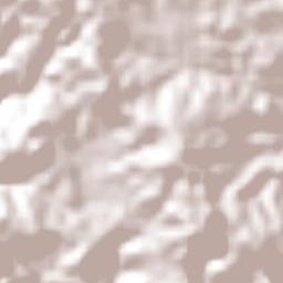 Emiliano Zapata Terrain Map