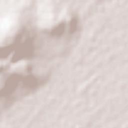 Lagos de Moreno Terrain Map