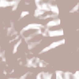 Iztacapa Terrain Map