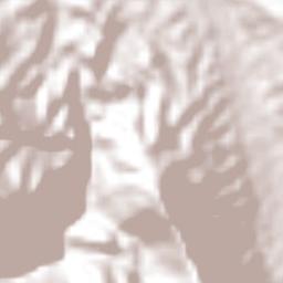 Ahuehueyo Primero Centro Terrain Map