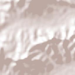 Chinampa de Gorostiza Terrain Map