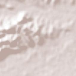 Colonia las Flores Terrain Map