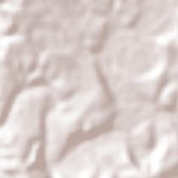 San Nicolás de las Flores Terrain Map