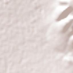 San Luis de la Paz Terrain Map