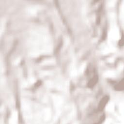 Las Sabinas Terrain Map