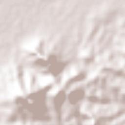 Naranjos Amatlán Terrain Map