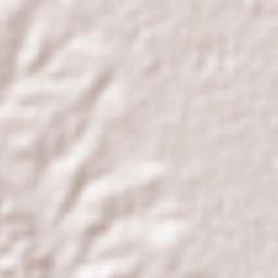 Soledad Nueva Terrain Map