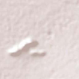 San Nicolás del Cármen Terrain Map