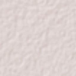 Dzidzantun Terrain Map