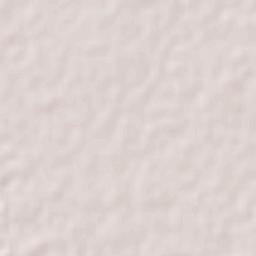 Dzilam González Terrain Map