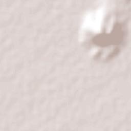 Zacualpan Terrain Map