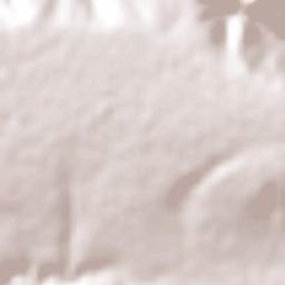 Trinidad García de la Cadena Terrain Map