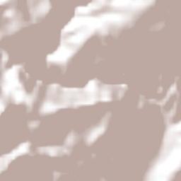 Mezquital del Oro Terrain Map