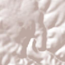 Mexticacán Terrain Map