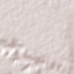 Rancho de Guadalupe Terrain Map