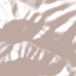 Ahuacatlán de Guadalupe Terrain Map