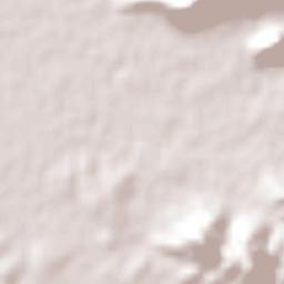 Las Varas Terrain Map