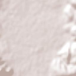 Juan Escutia (Borbollón) Terrain Map