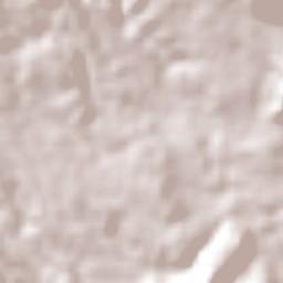 Chapalilla Terrain Map