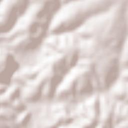 Jalostotitlan Terrain Map