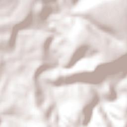 Casas Viejas Terrain Map