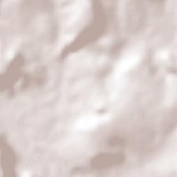 Tlacuitapan Terrain Map