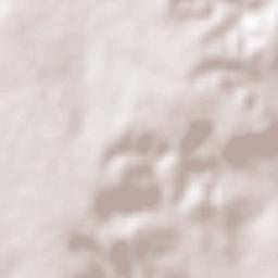 El Jaral Terrain Map