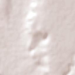 El Salto de San Antonio Terrain Map