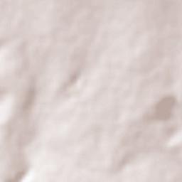 Fraccionamiento Paseo de las Torres Terrain Map