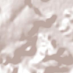 Los Remedios Terrain Map