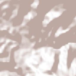 Pisaflores Terrain Map