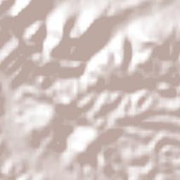 Tancazahuela Terrain Map