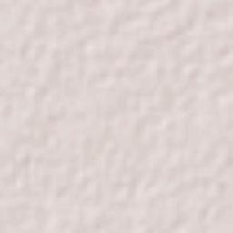 Telchac Pueblo Terrain Map