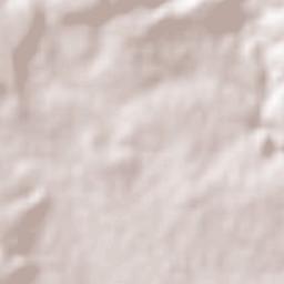 Colonia Ganadera Terrain Map