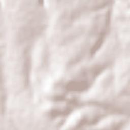 Cañadas de Obregón Terrain Map