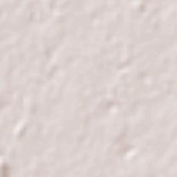 León de los Aldama Terrain Map