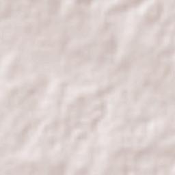 Dolores Hidalgo Cuna de la Independencia Nacional Terrain Map