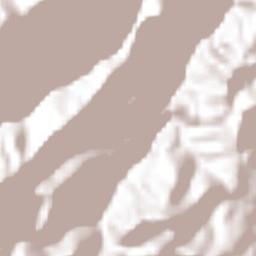 Pinal de Amoles Terrain Map