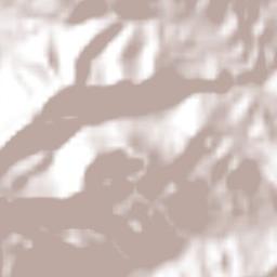 Tepexititla Terrain Map