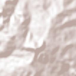 Tepetzintla Terrain Map