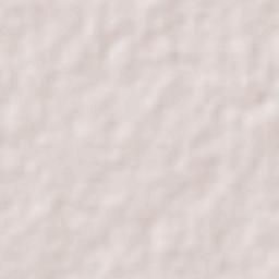 Tizimín Terrain Map