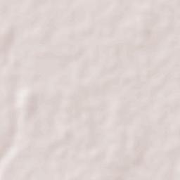 Jesús Menéndez Terrain Map