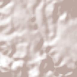 Rosa Blanca Terrain Map