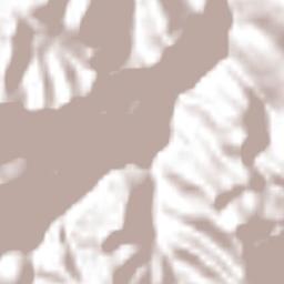 Cuatolol Terrain Map