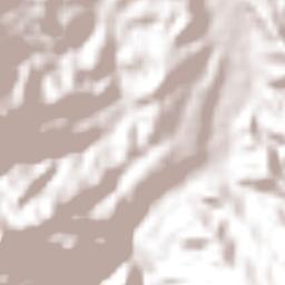 Coacuilco Terrain Map