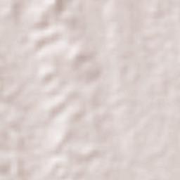 Tlacolula Terrain Map