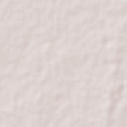 Alfredo V. Bonfil Terrain Map