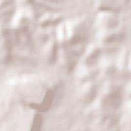 Potrerillos (Guanajal) Terrain Map