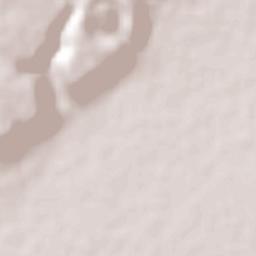 Malagana (San Antonio del Monte) Terrain Map